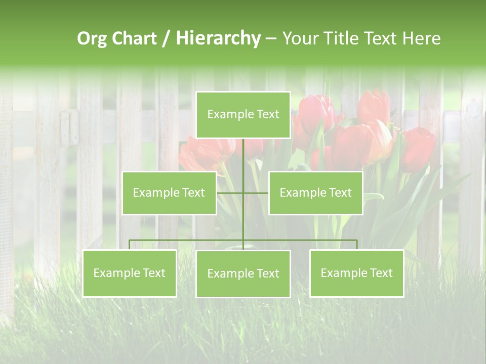 Harmonie Eingez Terasse PowerPoint Template