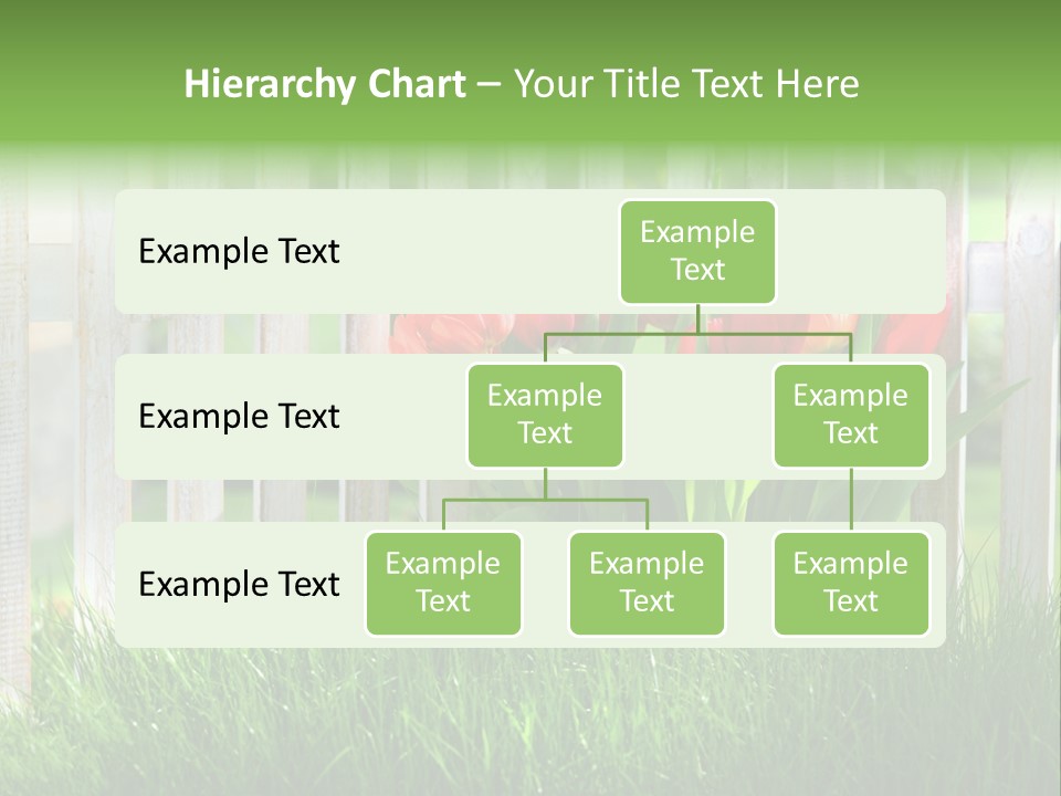 Harmonie Eingez Terasse PowerPoint Template