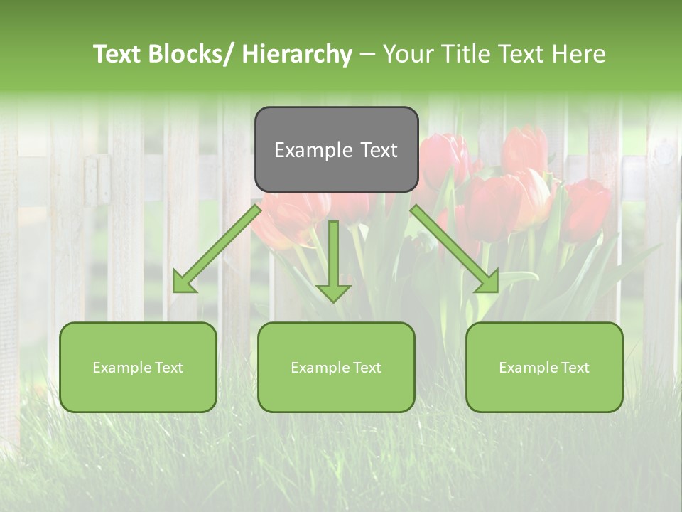 Harmonie Eingez Terasse PowerPoint Template