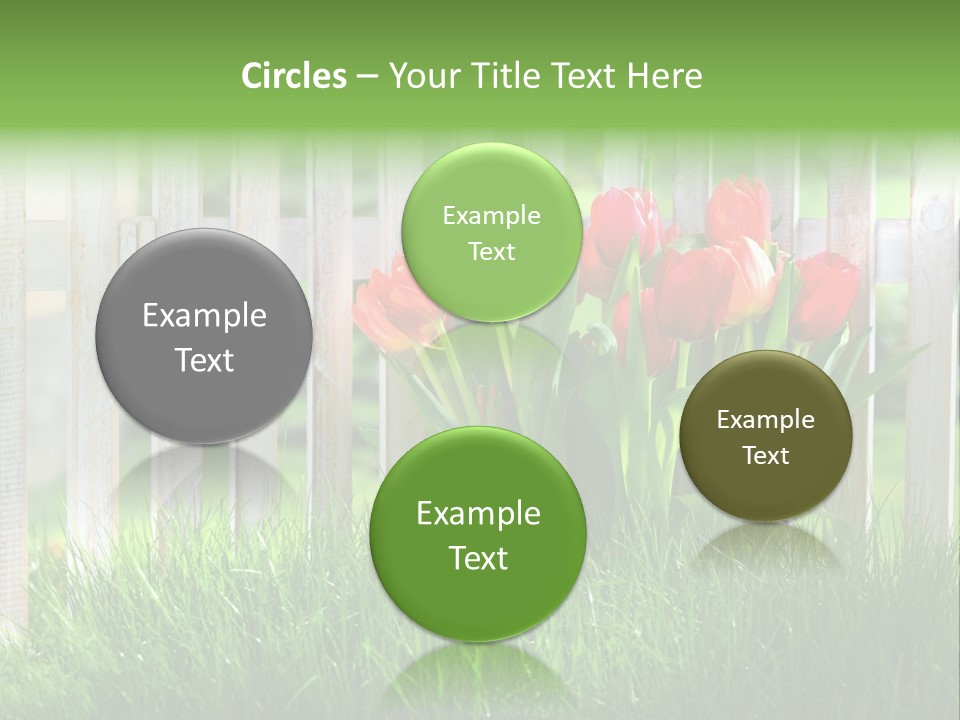 Harmonie Eingez Terasse PowerPoint Template