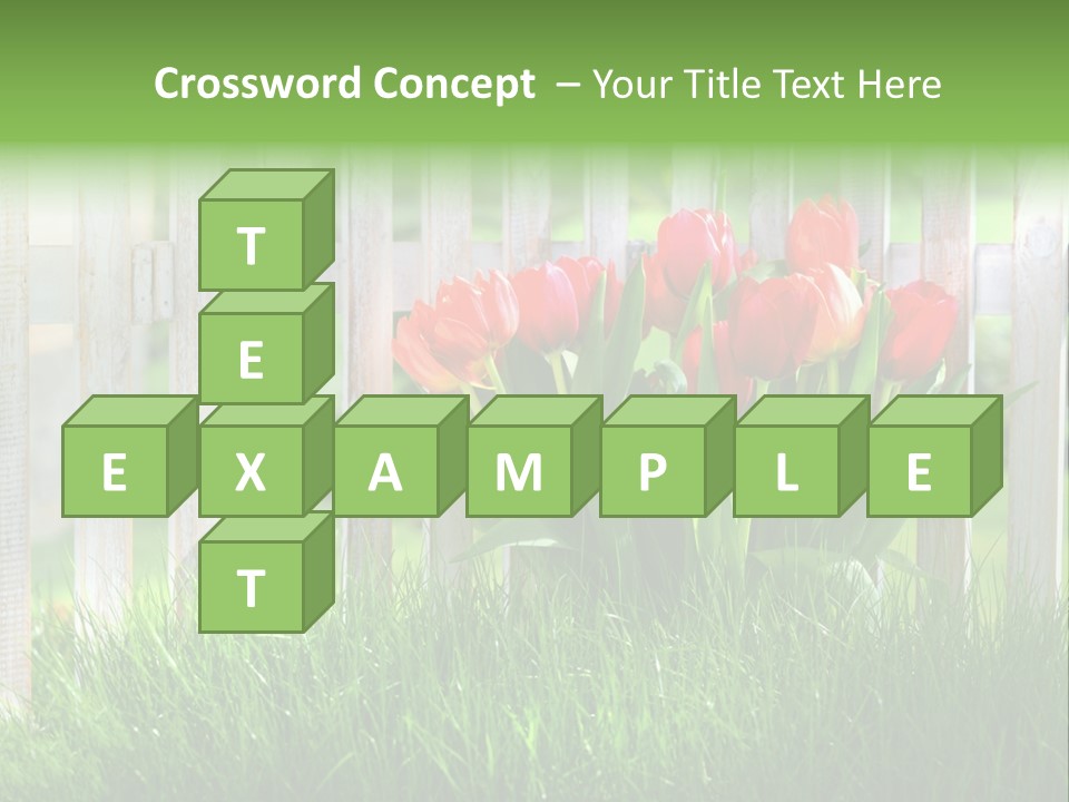 Harmonie Eingez Terasse PowerPoint Template