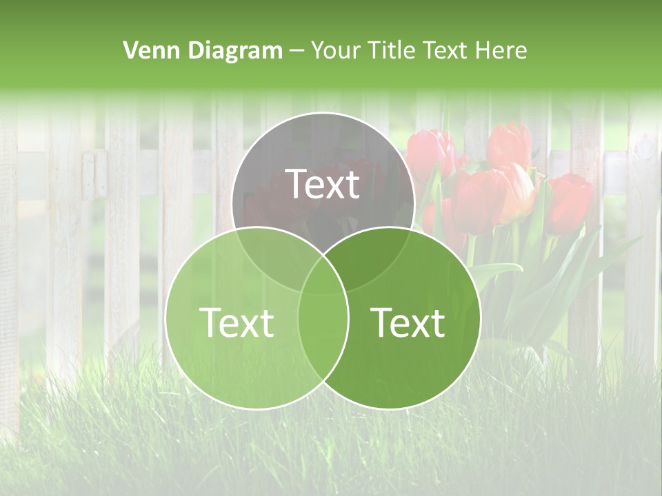 Harmonie Eingez Terasse PowerPoint Template