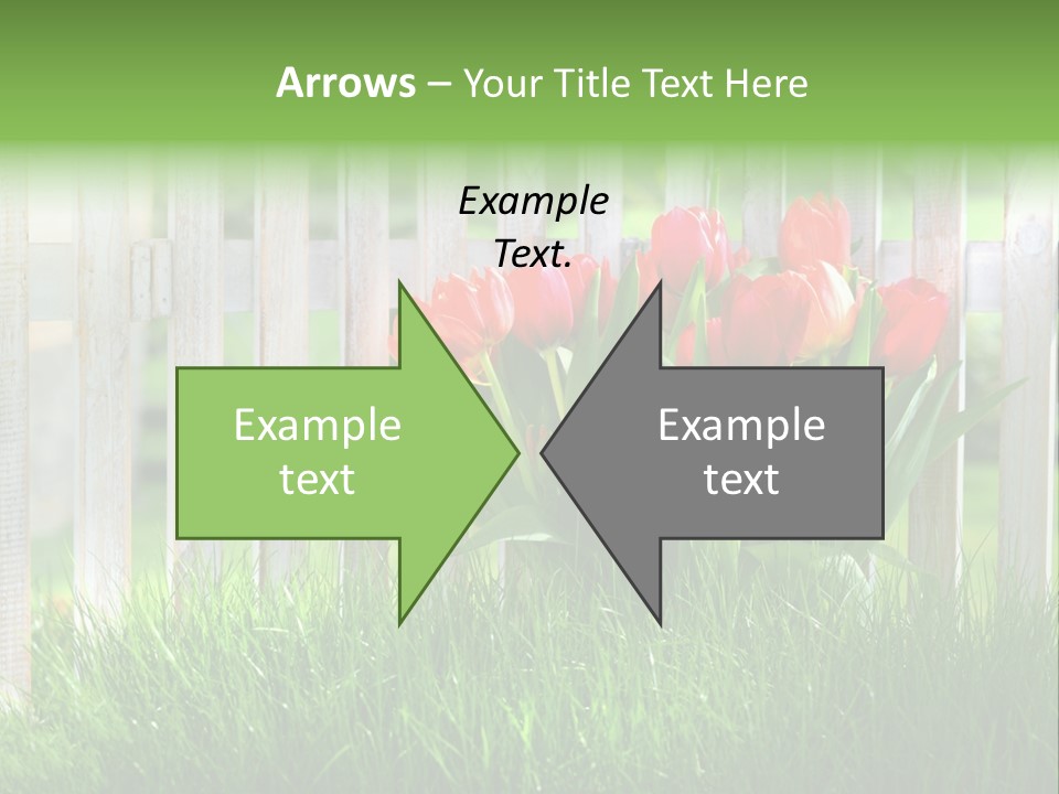 Harmonie Eingez Terasse PowerPoint Template