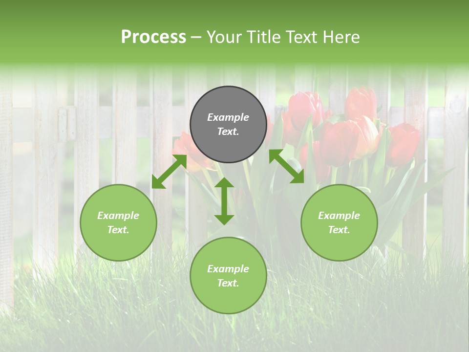 Harmonie Eingez Terasse PowerPoint Template