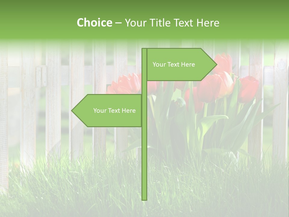 Harmonie Eingez Terasse PowerPoint Template