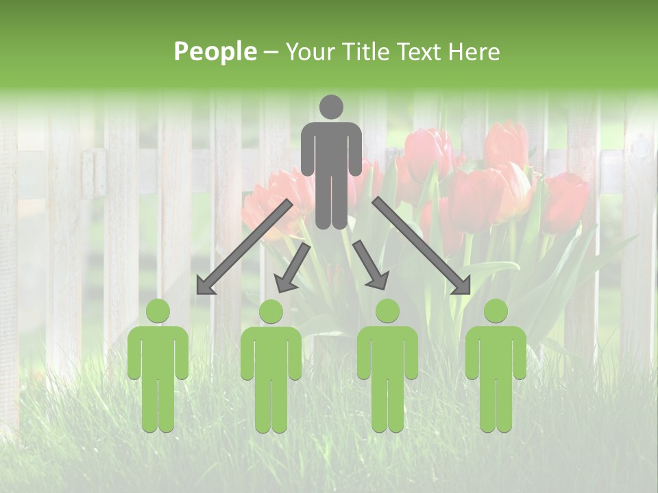 Harmonie Eingez Terasse PowerPoint Template