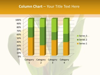 Flower Love Nature PowerPoint Template