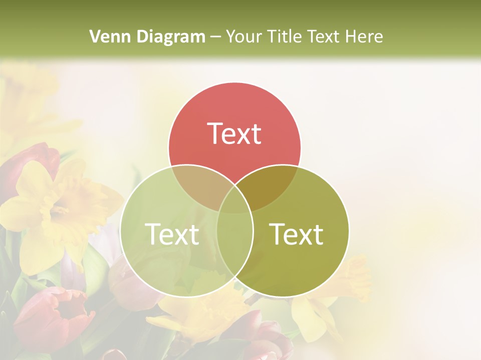 Green Square Purple PowerPoint Template