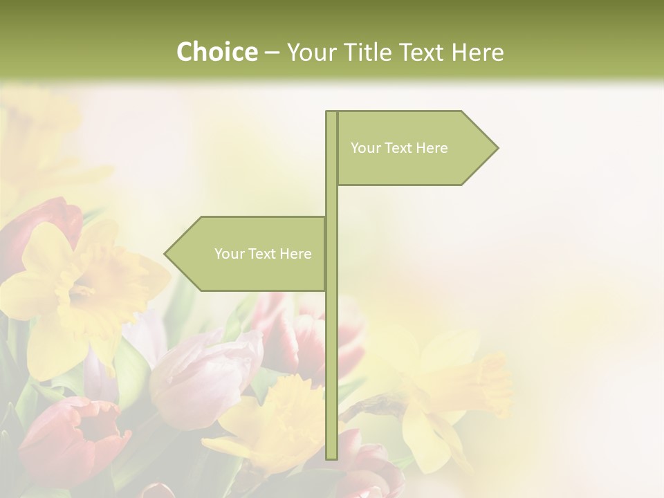 Green Square Purple PowerPoint Template