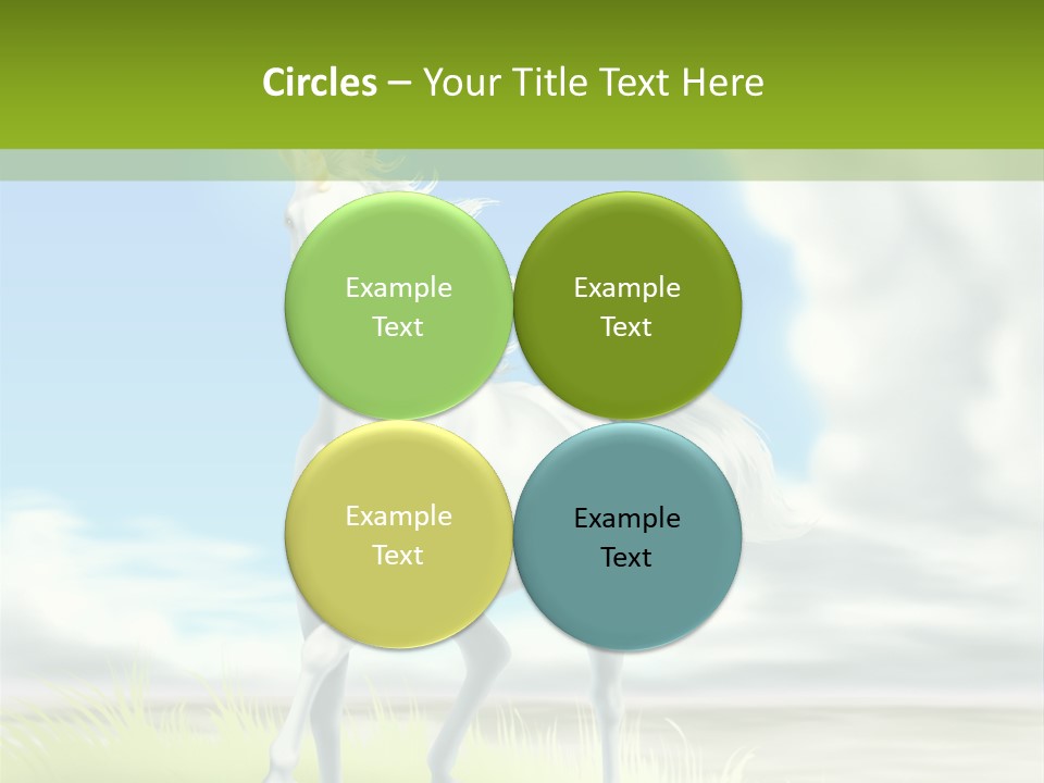 Cavallo Dorato Candido PowerPoint Template