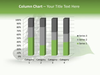 Nirvana Boudisme Puret PowerPoint Template