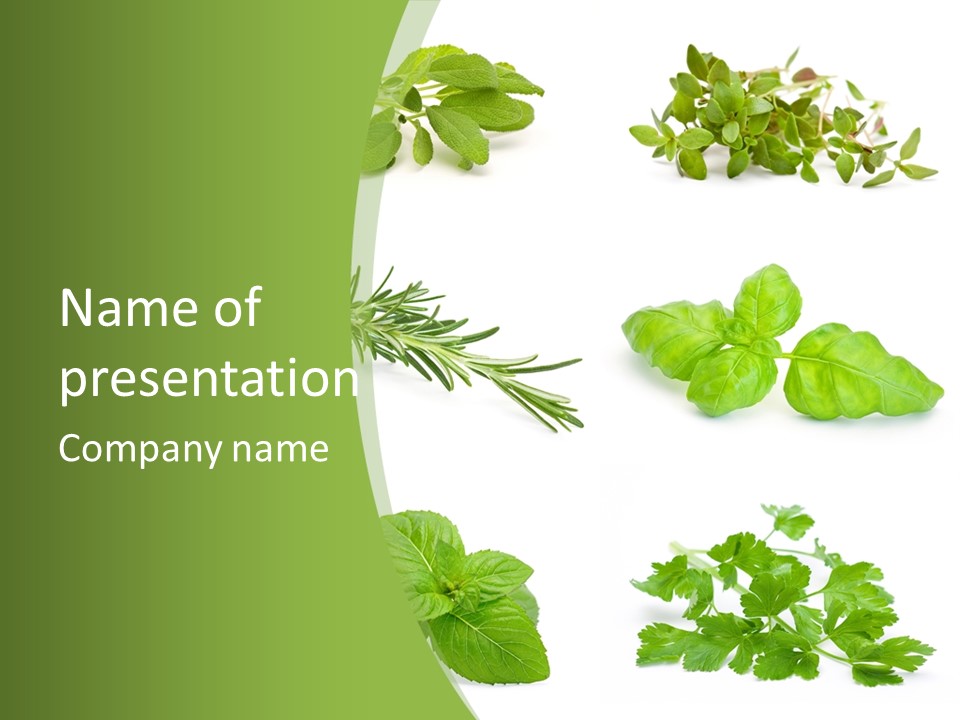 Herb Basil Cook PowerPoint Template