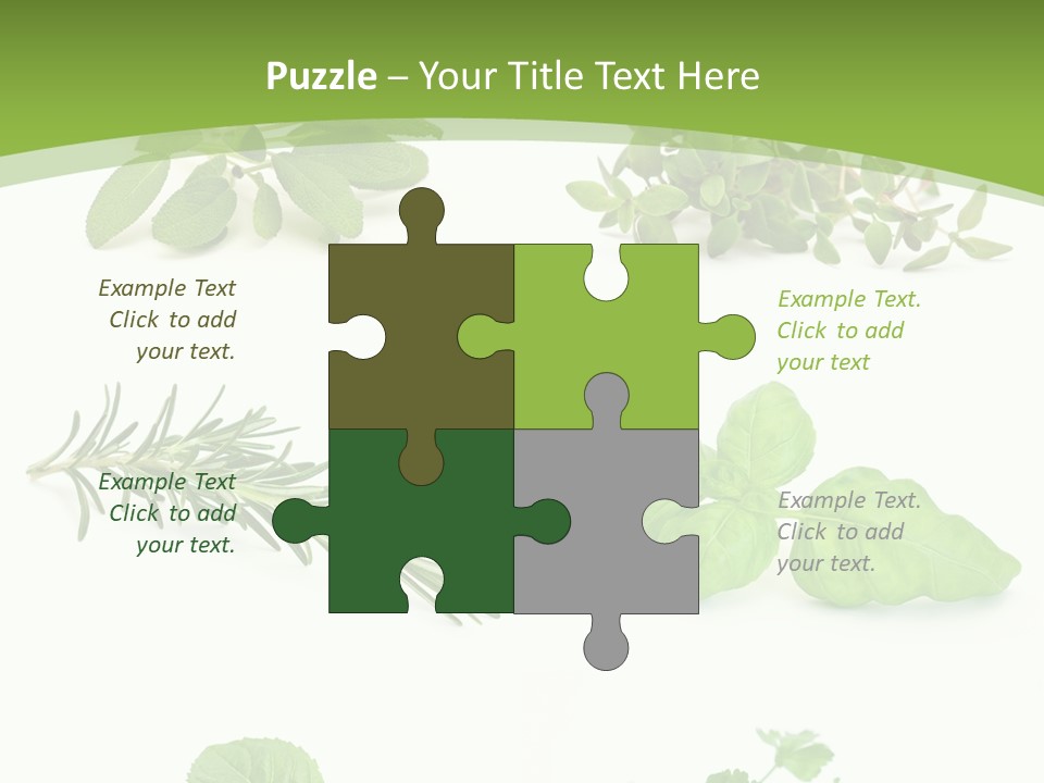 Herb Basil Cook PowerPoint Template