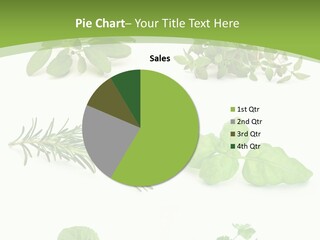 Herb Basil Cook PowerPoint Template