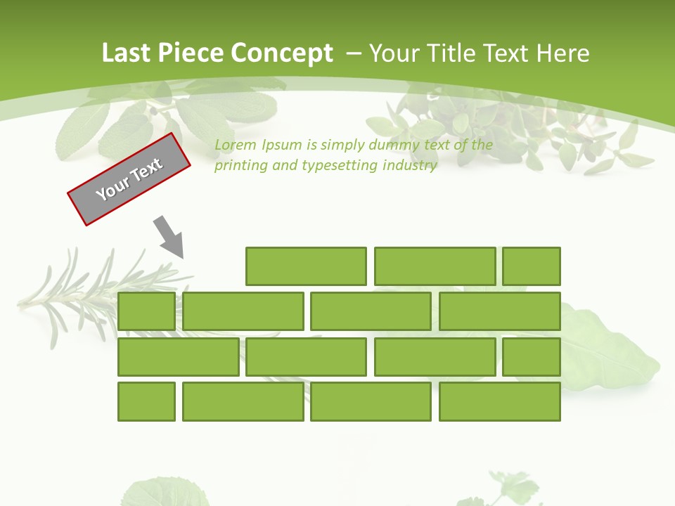 Herb Basil Cook PowerPoint Template