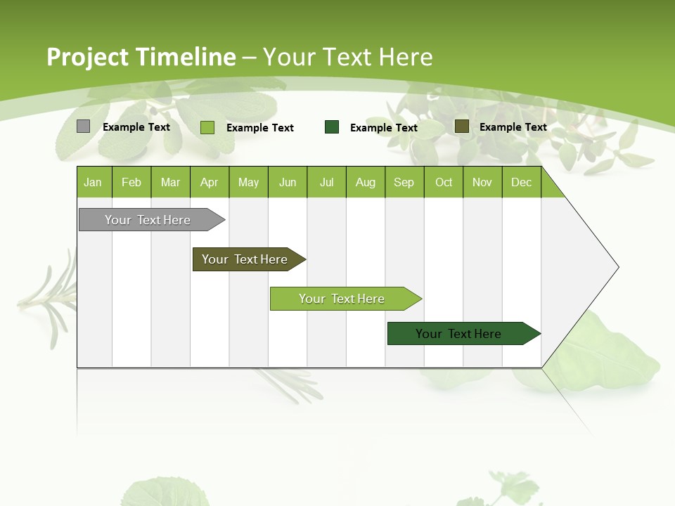 Herb Basil Cook PowerPoint Template