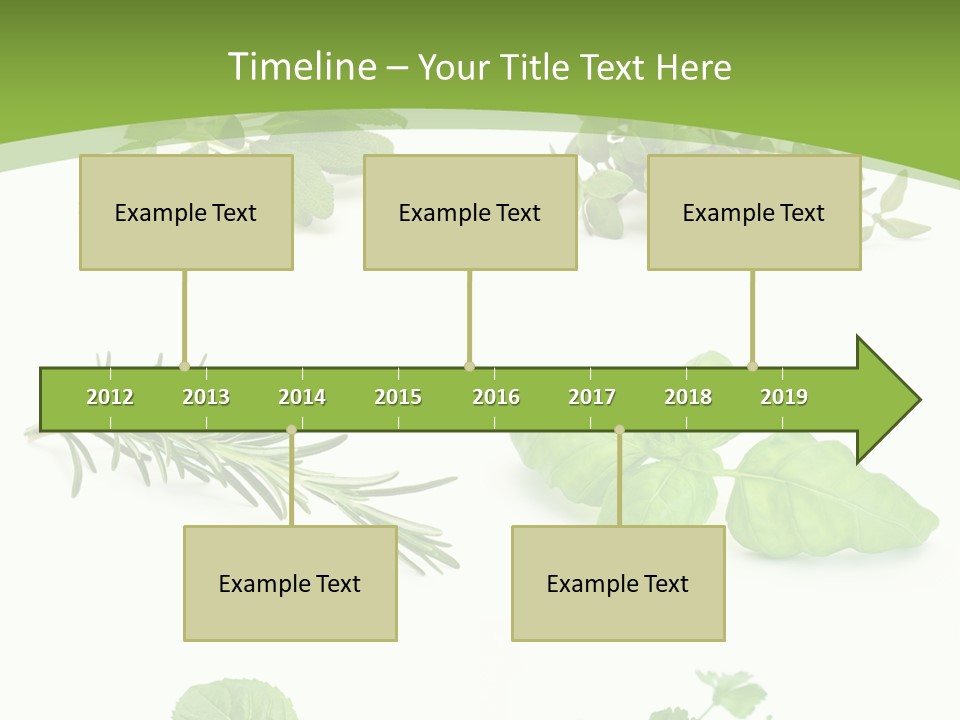 Herb Basil Cook PowerPoint Template