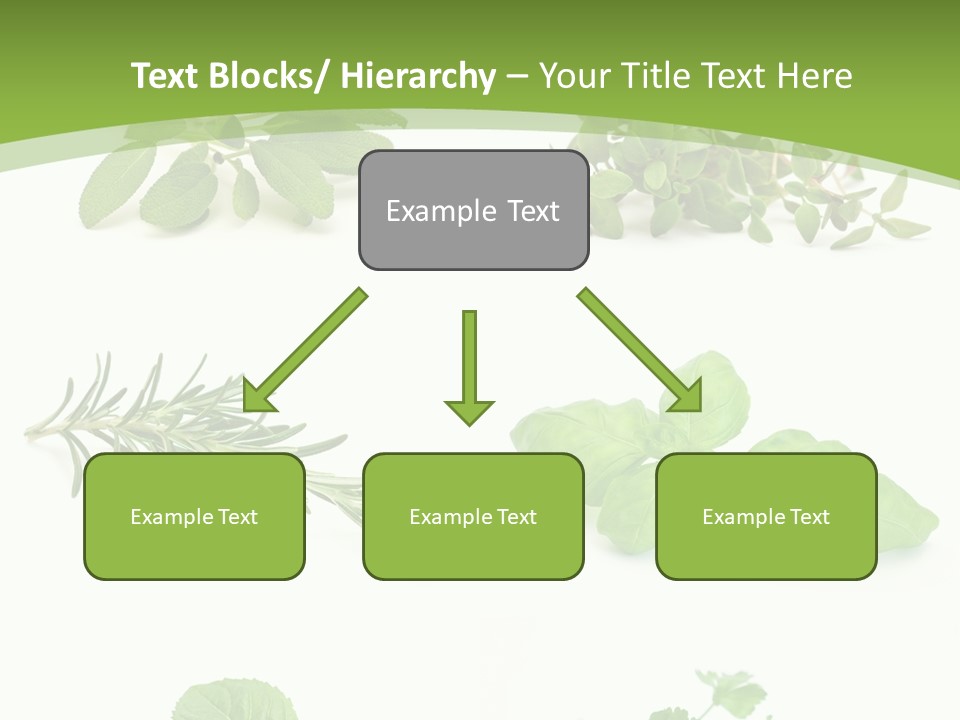 Herb Basil Cook PowerPoint Template