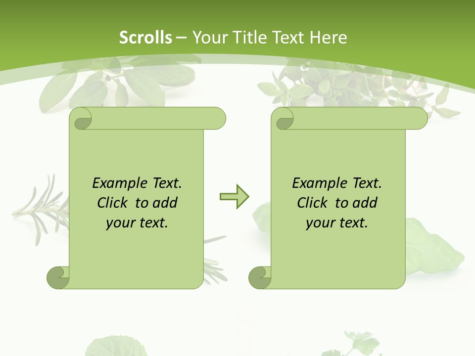 Herb Basil Cook PowerPoint Template