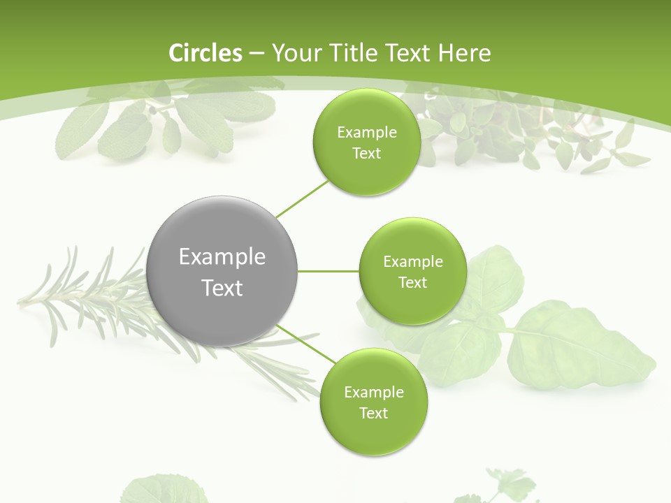 Herb Basil Cook PowerPoint Template