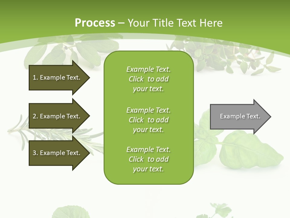 Herb Basil Cook PowerPoint Template