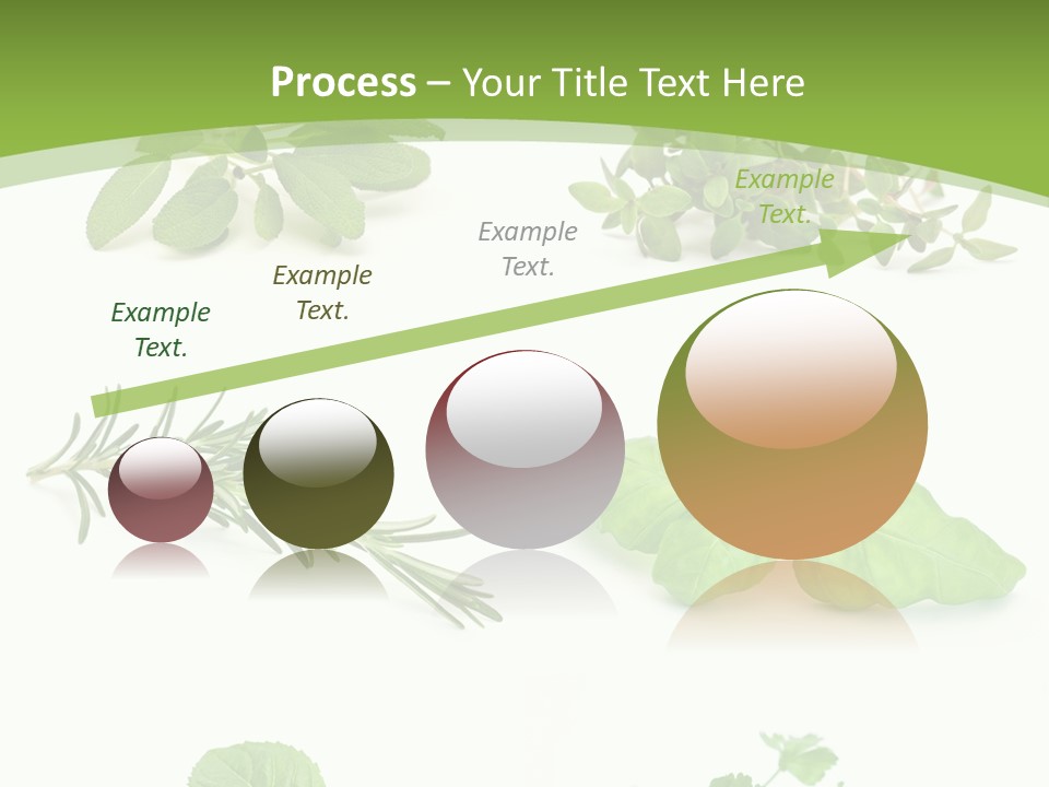 Herb Basil Cook PowerPoint Template