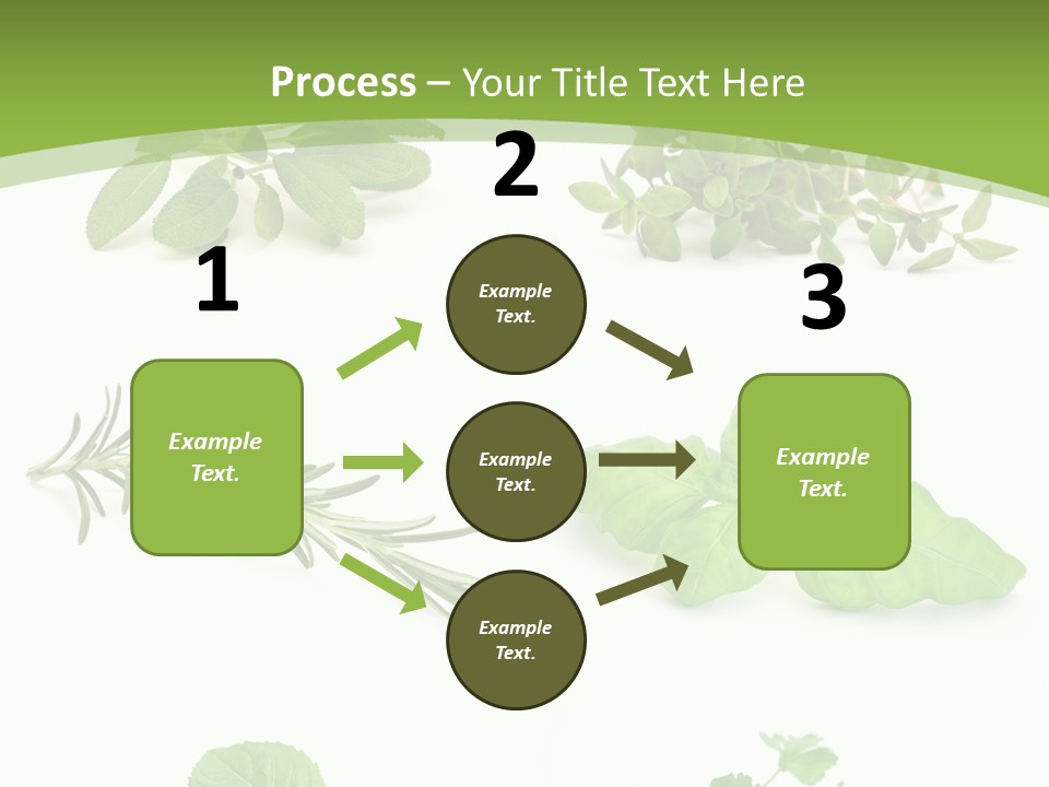 Herb Basil Cook PowerPoint Template