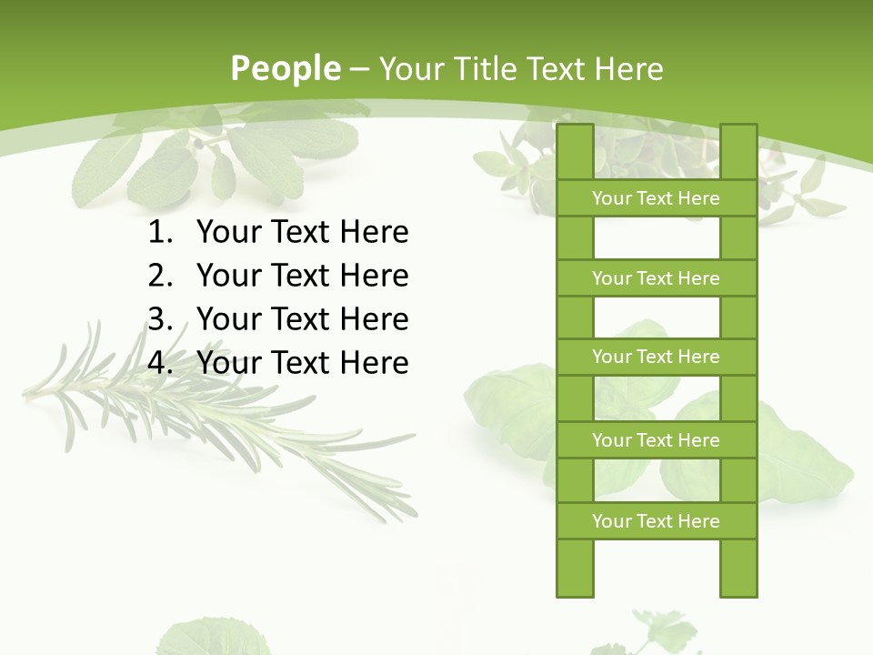 Herb Basil Cook PowerPoint Template