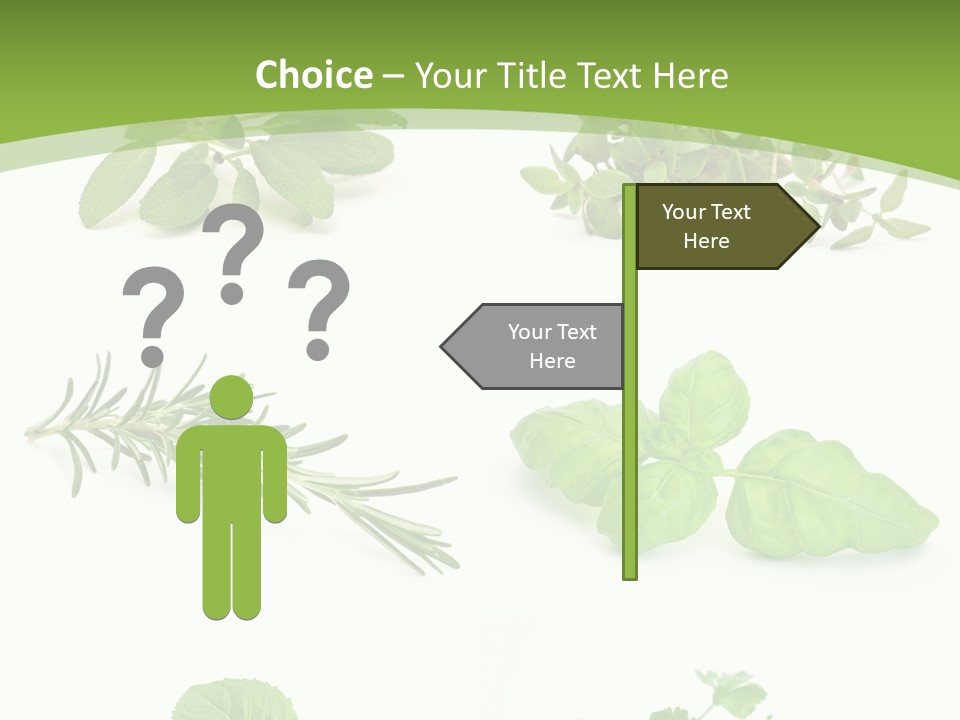 Herb Basil Cook PowerPoint Template