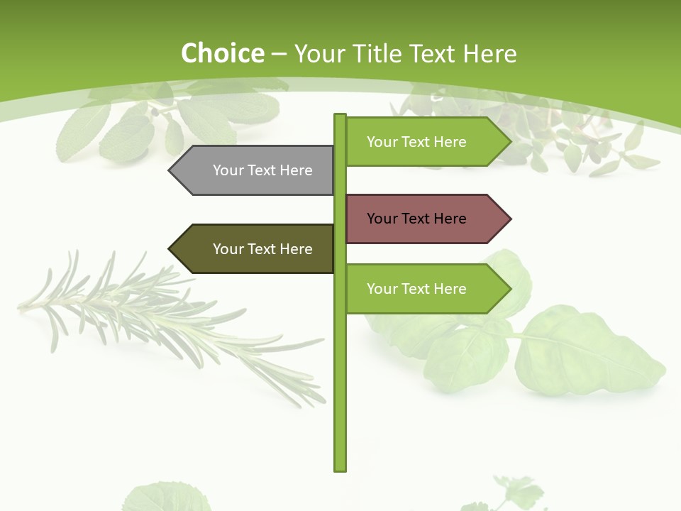 Herb Basil Cook PowerPoint Template