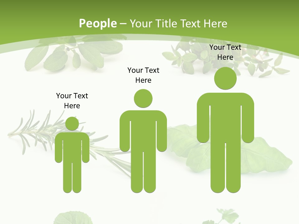 Herb Basil Cook PowerPoint Template