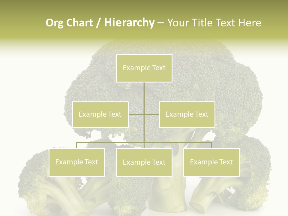 A Broccoli Powerpoint Presentation Is Shown PowerPoint Template