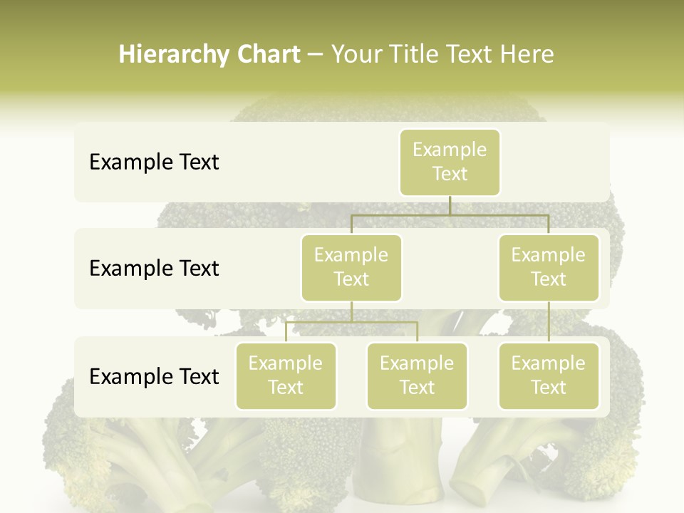 A Broccoli Powerpoint Presentation Is Shown PowerPoint Template
