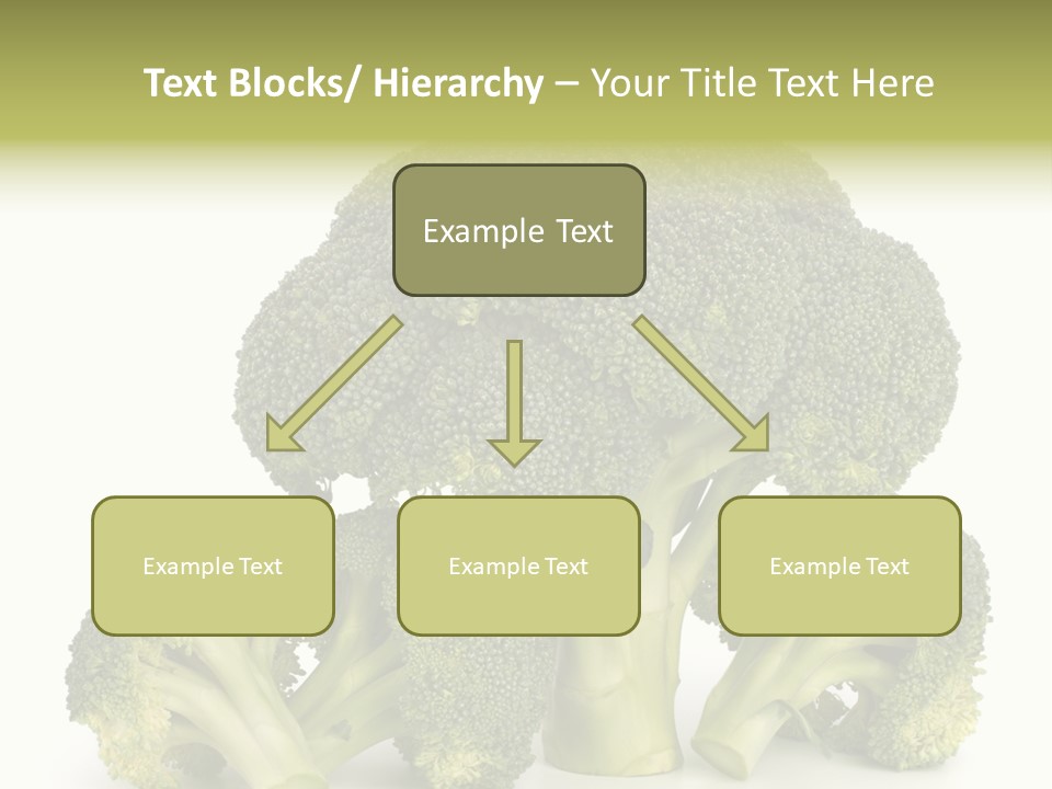 A Broccoli Powerpoint Presentation Is Shown PowerPoint Template
