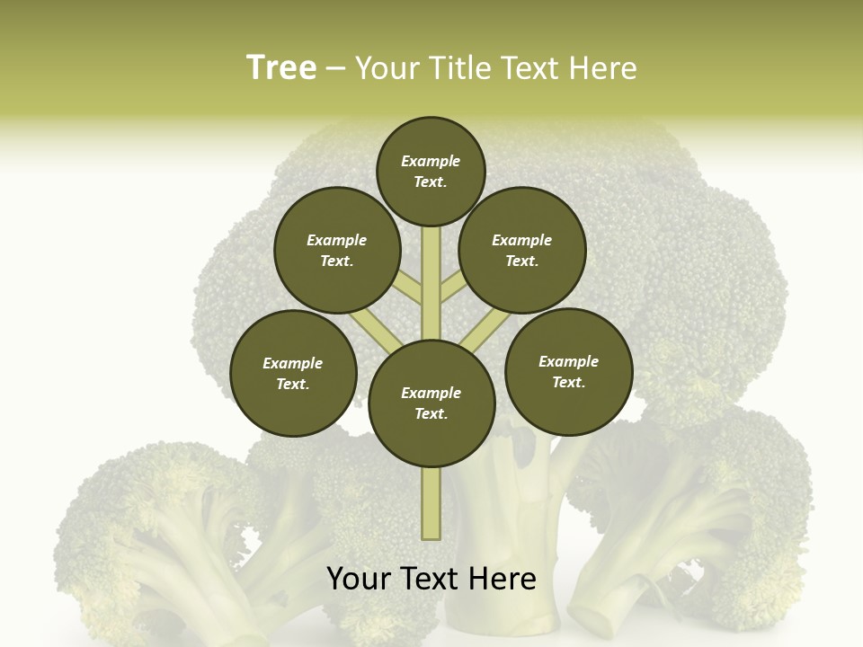 A Broccoli Powerpoint Presentation Is Shown PowerPoint Template