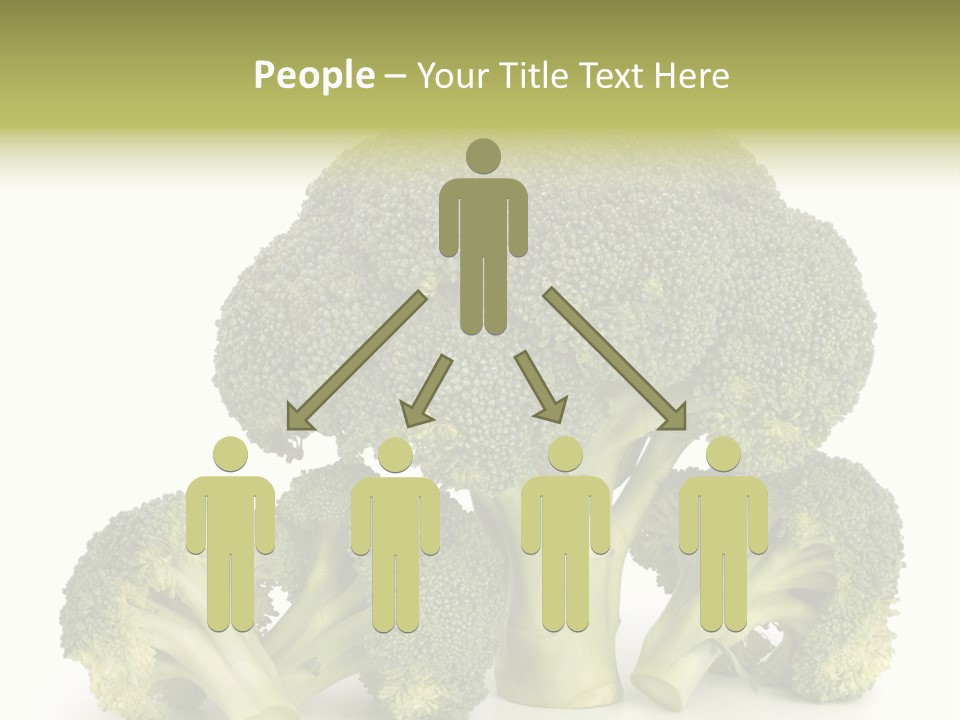 A Broccoli Powerpoint Presentation Is Shown PowerPoint Template