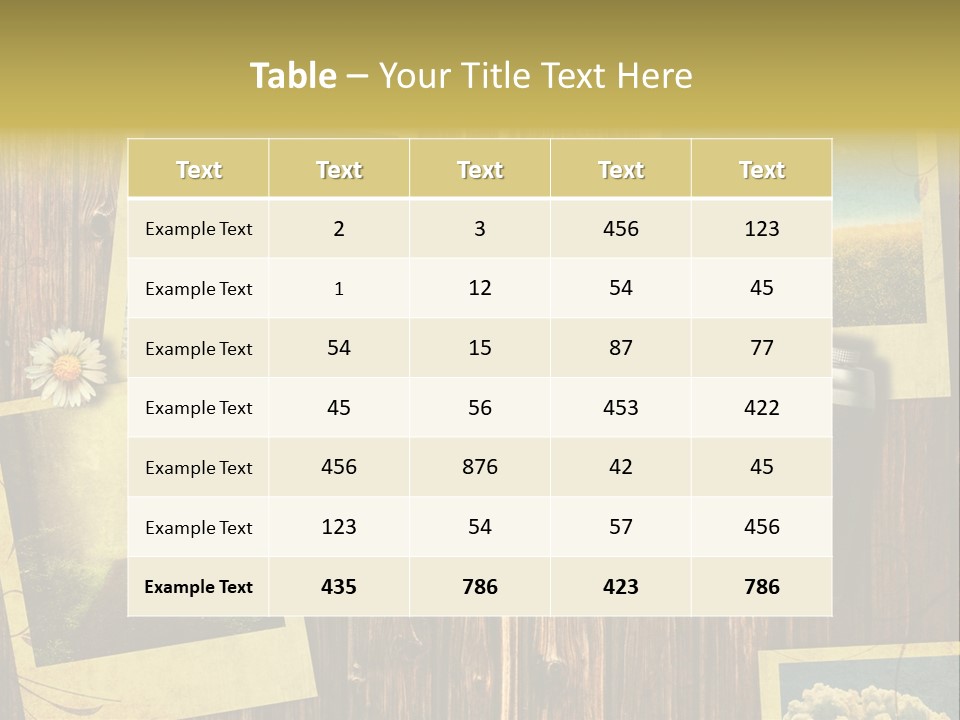 Aufnehmen Historisch Machen PowerPoint Template