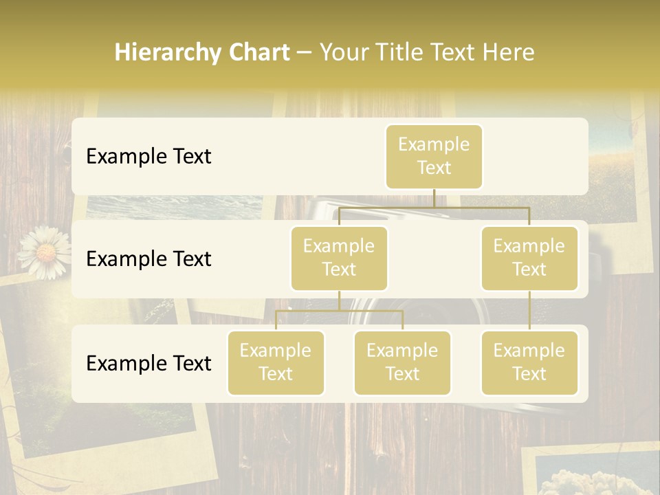 Aufnehmen Historisch Machen PowerPoint Template