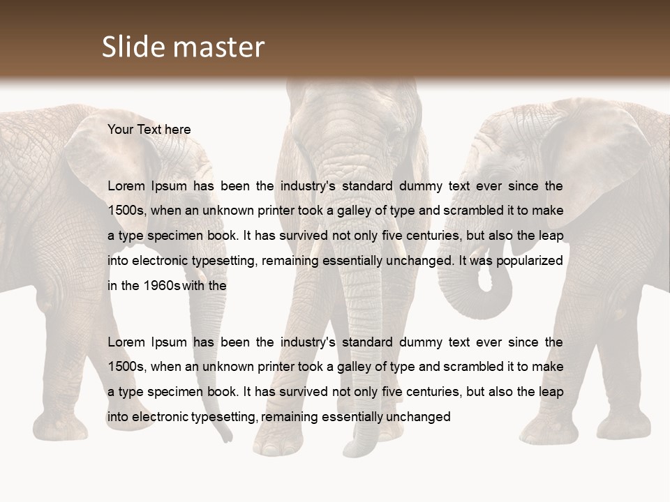 A Group Of Elephants Standing Next To Each Other PowerPoint Template