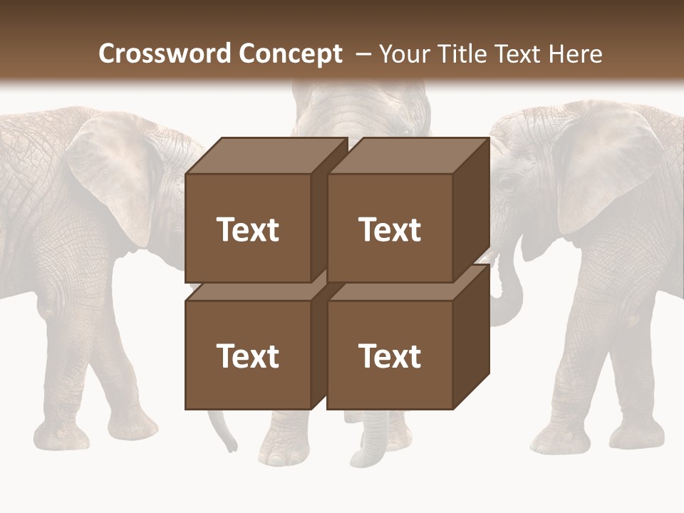 A Group Of Elephants Standing Next To Each Other PowerPoint Template