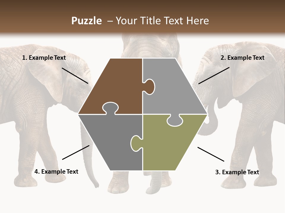 A Group Of Elephants Standing Next To Each Other PowerPoint Template