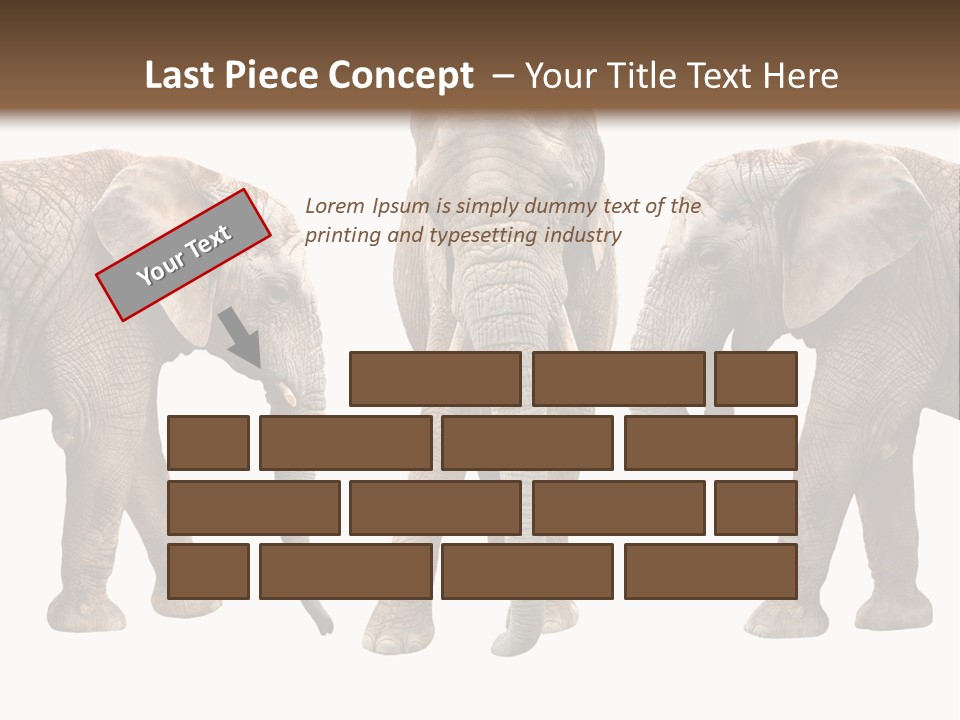A Group Of Elephants Standing Next To Each Other PowerPoint Template