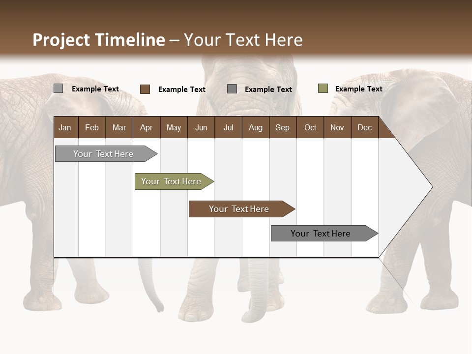 A Group Of Elephants Standing Next To Each Other PowerPoint Template
