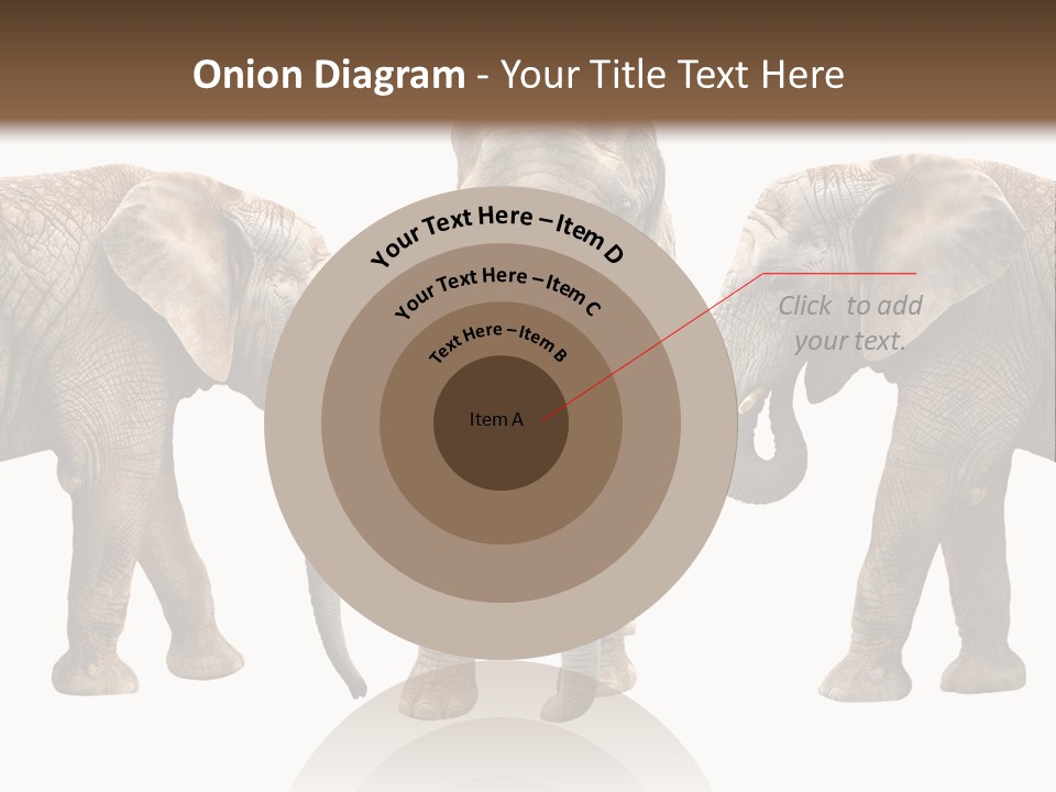 A Group Of Elephants Standing Next To Each Other PowerPoint Template
