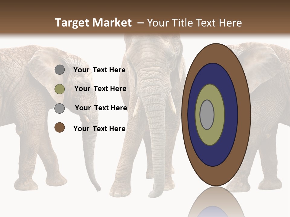 A Group Of Elephants Standing Next To Each Other PowerPoint Template