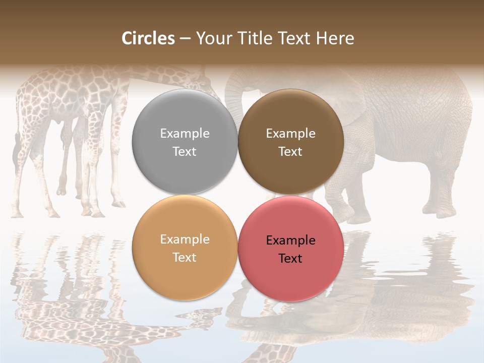 Ecosse - Sky PowerPoint Template