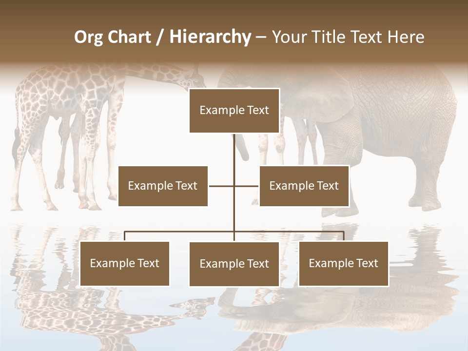 Ecosse - Sky PowerPoint Template