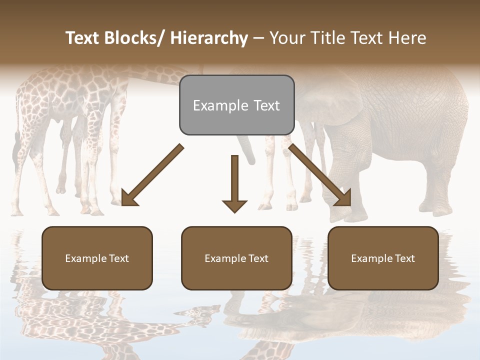 Ecosse - Sky PowerPoint Template