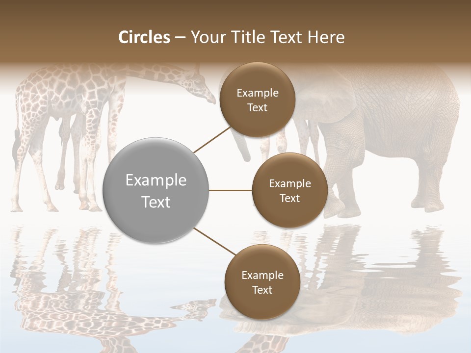 Ecosse - Sky PowerPoint Template