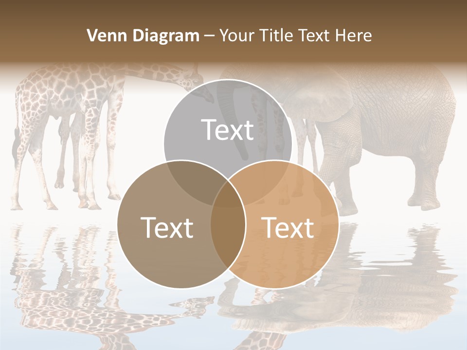 Ecosse - Sky PowerPoint Template